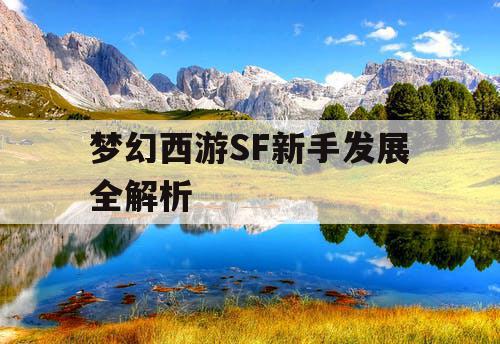 梦幻西游SF新手发展全解析