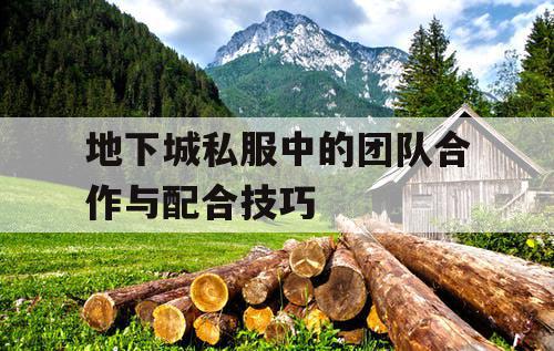 地下城私服中的团队合作与配合技巧