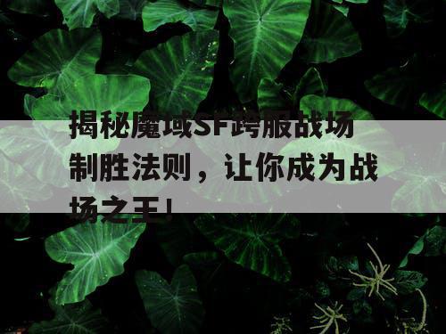 揭秘魔域SF跨服战场制胜法则，让你成为战场之王！
