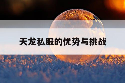 天龙私服的优势与挑战