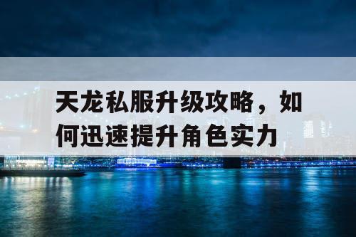 天龙私服升级攻略，如何迅速提升角色实力