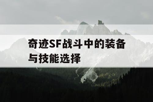 奇迹SF战斗中的装备与技能选择 奇迹SF战斗中的装备与技能选择