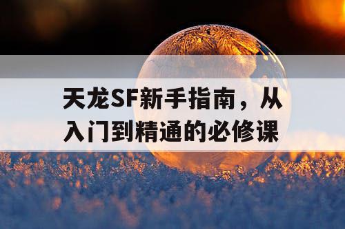 天龙SF新手指南,从入门到精通的必修课 天龙SF新手指南,从入门到精通的必修课