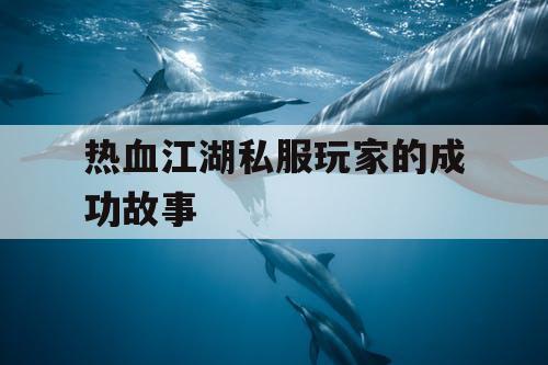 热血江湖私服玩家的成功故事
