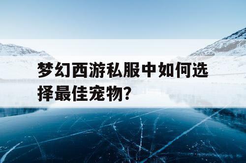 梦幻西游私服中如何选择最佳宠物? 梦幻西游私服中如何选择最佳宠物?