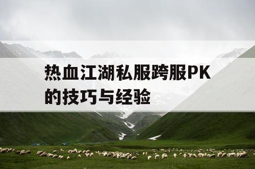 热血江湖私服跨服PK的技巧与经验