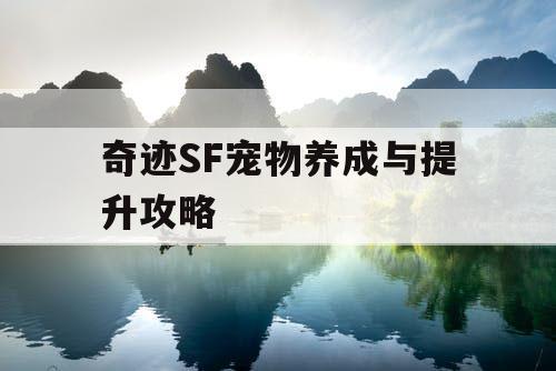 奇迹SF宠物养成与提升攻略