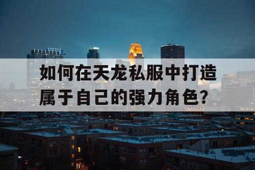 如何在天龙私服中打造属于自己的强力角色？