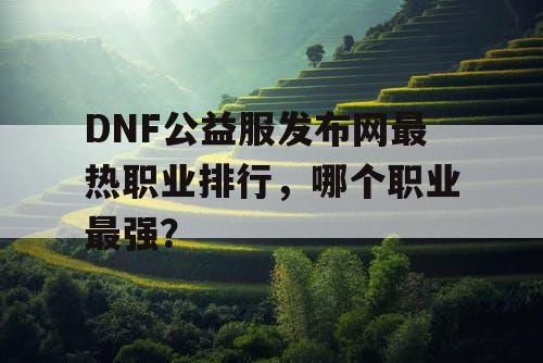 DNF公益服发布网最热职业排行，哪个职业最强？
