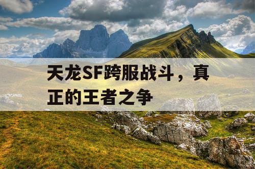 天龙SF跨服战斗，真正的王者之争