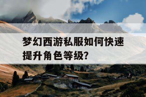 梦幻西游私服如何快速提升角色等级? 梦幻西游私服如何快速提升角色等级?