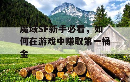 魔域SF新手必看，如何在游戏中赚取第一桶金