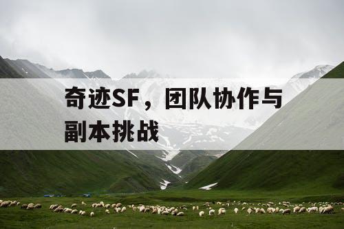 奇迹SF,团队协作与副本挑战 奇迹SF,团队协作与副本挑战
