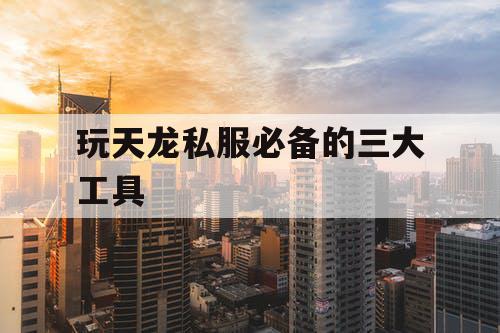 玩天龙私服必备的三大工具 玩天龙私服必备的三大工具