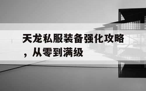天龙私服装备强化攻略,从零到满级 天龙私服装备强化攻略,从零到满级
