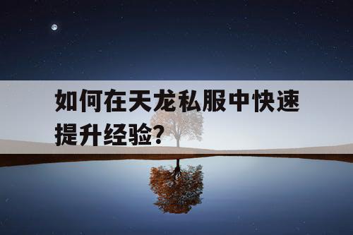 如何在天龙私服中快速提升经验？