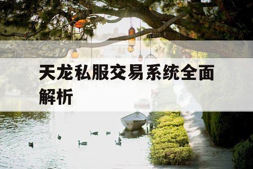 天龙私服交易系统全面解析 天龙私服交易系统全面解析