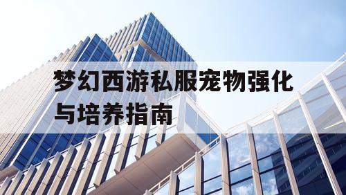 梦幻西游私服宠物强化与培养指南