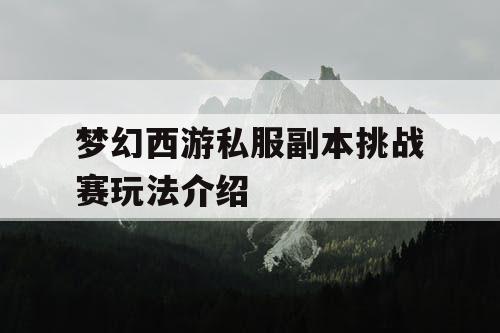 梦幻西游私服副本挑战赛玩法介绍