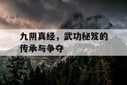 九阴真经，武功秘笈的传承与争夺