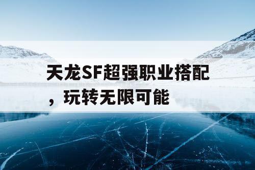 天龙SF超强职业搭配，玩转无限可能