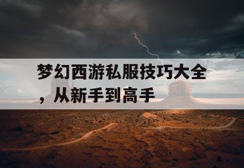 梦幻西游私服技巧大全，从新手到高手