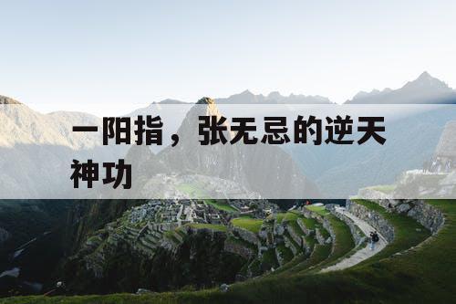 一阳指，张无忌的逆天神功