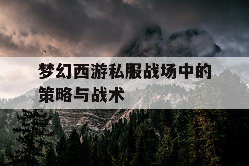 梦幻西游私服战场中的策略与战术