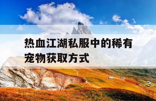 热血江湖私服中的稀有宠物获取方式