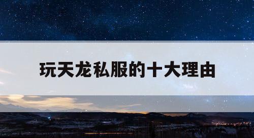 玩天龙私服的十大理由