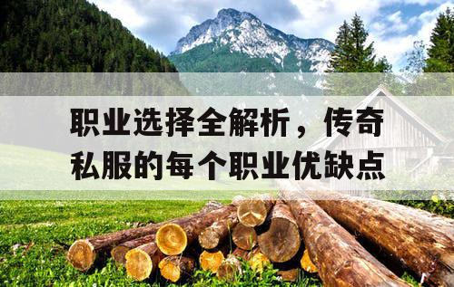 职业选择全解析，传奇私服的每个职业优缺点