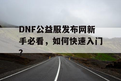 DNF公益服发布网新手必看，如何快速入门？
