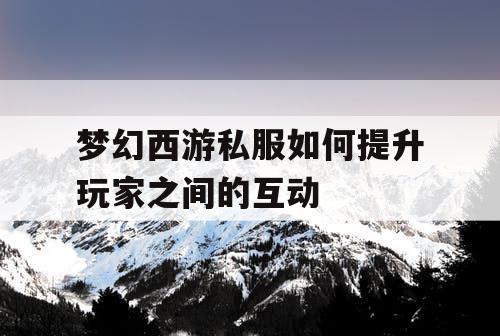 梦幻西游私服如何提升玩家之间的互动