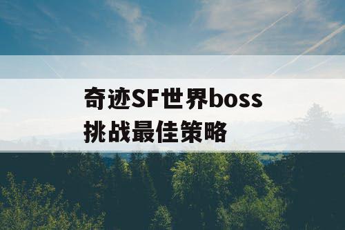 奇迹SF世界boss挑战最佳策略