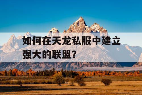 如何在天龙私服中建立强大的联盟？