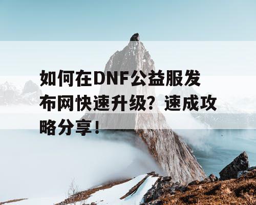 如何在DNF公益服发布网快速升级？速成攻略分享！