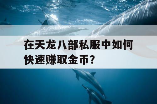 在天龙八部私服中如何快速赚取金币？