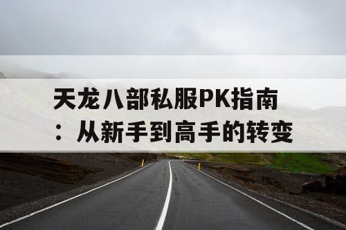 天龙八部私服PK指南：从新手到高手的转变
