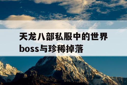 天龙八部私服中的世界boss与珍稀掉落