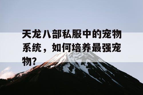 天龙八部私服中的宠物系统，如何培养最强宠物？