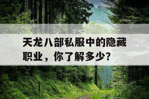 天龙八部私服中的隐藏职业，你了解多少？