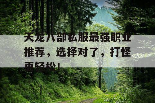 天龙八部私服最强职业推荐，选择对了，打怪更轻松！