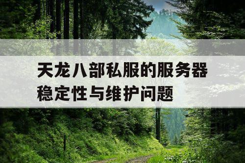 天龙八部私服的服务器稳定性与维护问题