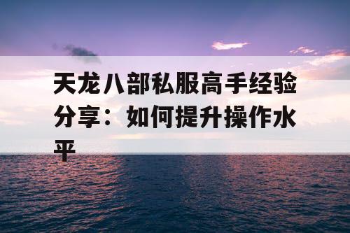 天龙八部私服高手经验分享：如何提升操作水平