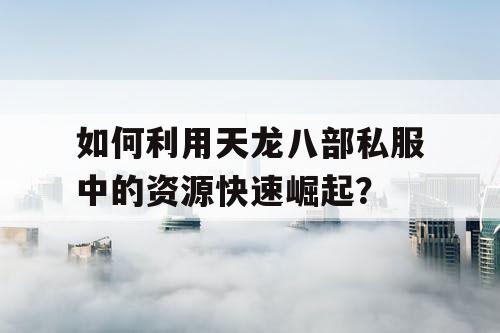 如何利用天龙八部私服中的资源快速崛起？