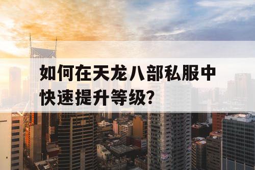 如何在天龙八部私服中快速提升等级？