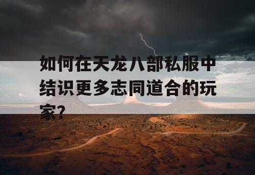 如何在天龙八部私服中结识更多志同道合的玩家？