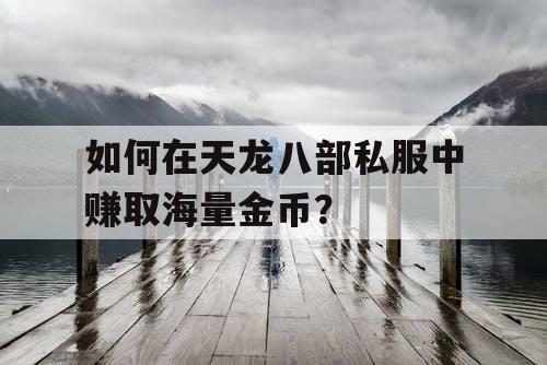 如何在天龙八部私服中赚取海量金币？