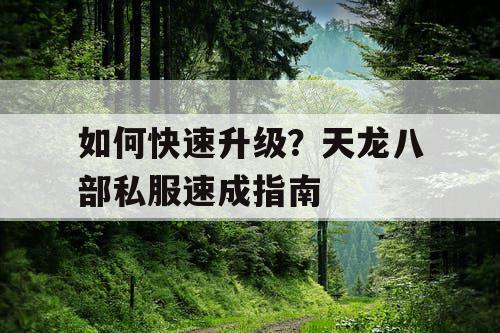 如何快速升级？天龙八部私服速成指南