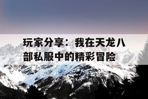 玩家分享：我在天龙八部私服中的精彩冒险